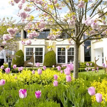 Wyvols Court
Swallowfield