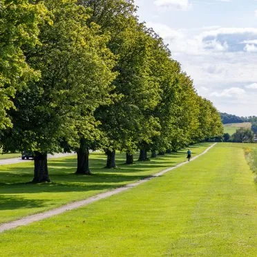 Endeavour House Wrest Park
Park Avenue