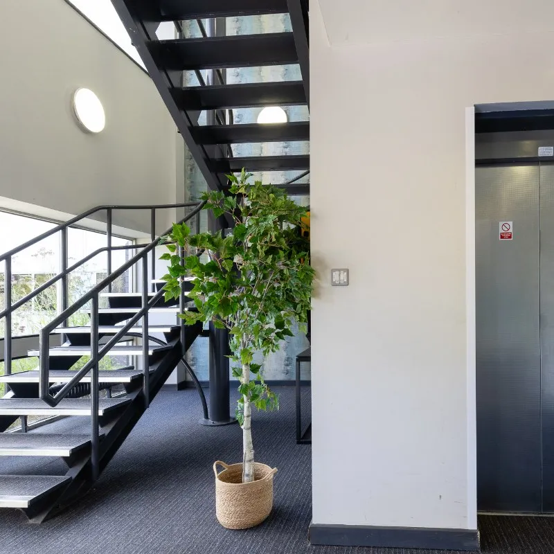 Paulton House
Old Mills