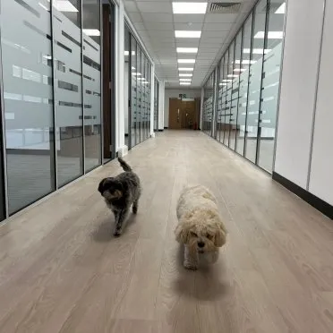 Lowfield Heath,
Old Brighton Road