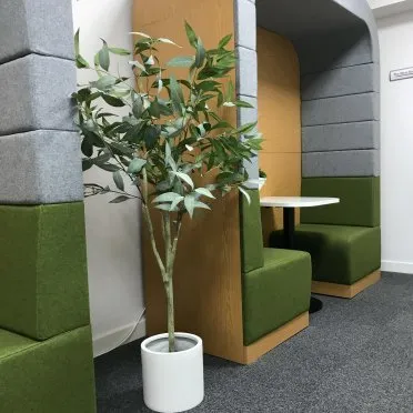 The Innovation Centre,
Festival Drive, 
Victoria Business Park