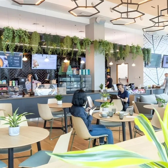 The Spine, 
2 Paddington Village