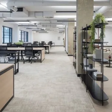 The Script, 
44 Featherstone Street