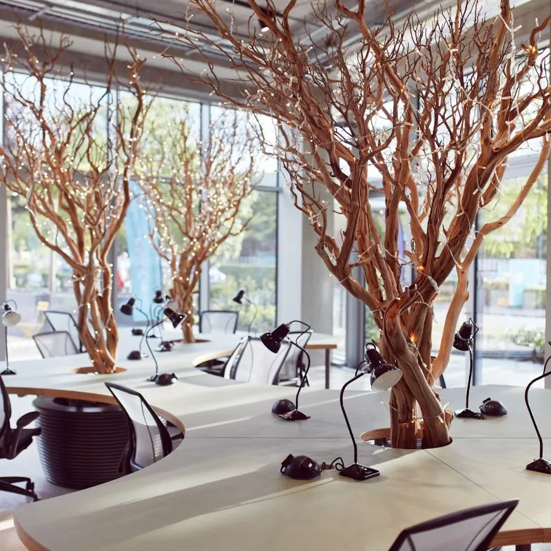 Bright Building
Pencroft Way