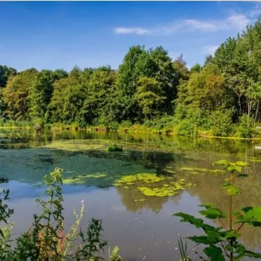 Abney Hall
Manchester Road
