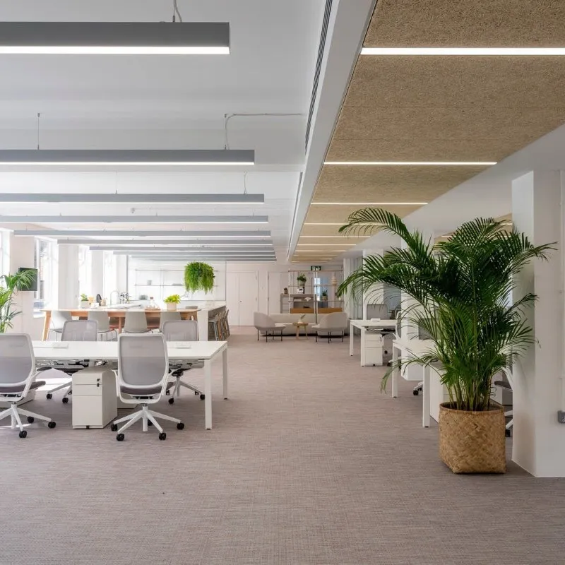 12 Roger Street, Bloomsbury