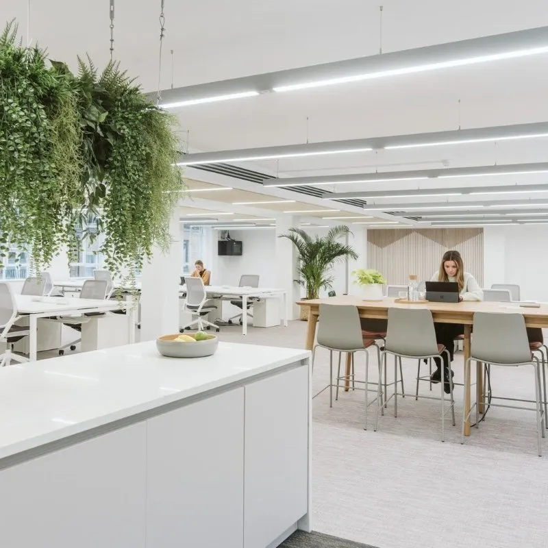 12 Roger Street, Bloomsbury