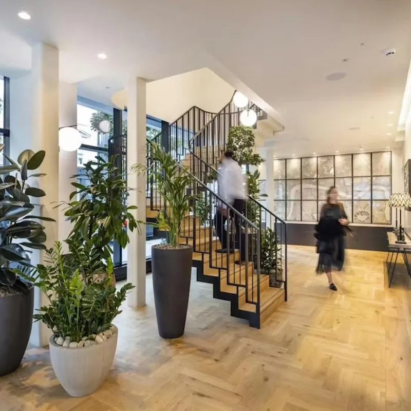 60 Charlotte Street, Fitzrovia