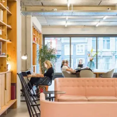 Thornton Park Development, Clapham Common -  SW4