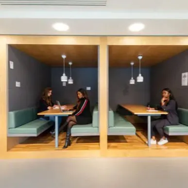 Thornton Park Development,,Clapham Common SW4