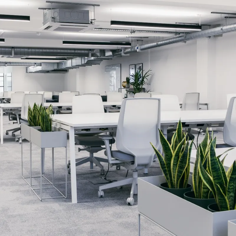 Chadwick Court
15 Hatfields