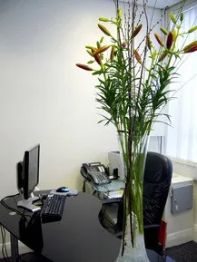 Wellesley House, 
102 Cranbrook Road