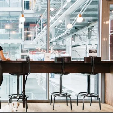 Iveagh Court, Harcourt Road - D02