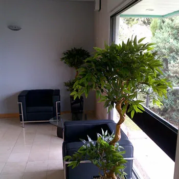 Llay Business Centre
Rackery Lane