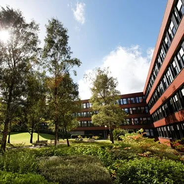 Wilton Centre
Wilton Lane