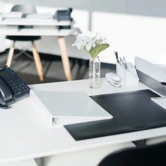 Castlemill,
Burnt Tree