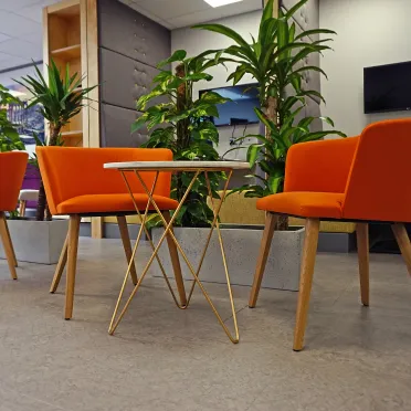 Oculis House 
Eddystone Road